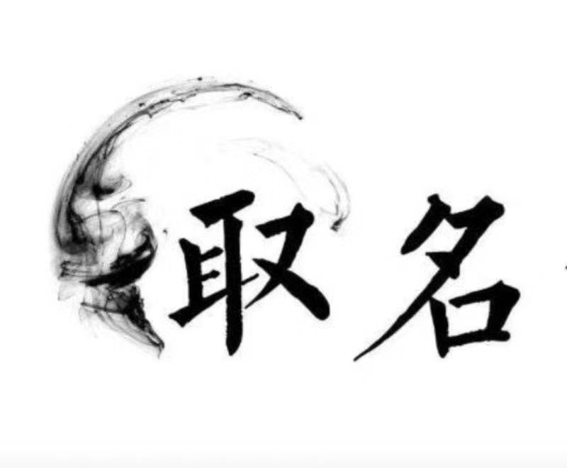  和龙宝宝取名 大师一对一人工起名