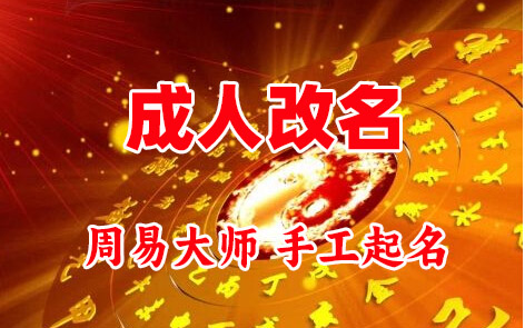 和龙成人改名-找大师一对一改名先分析后改名